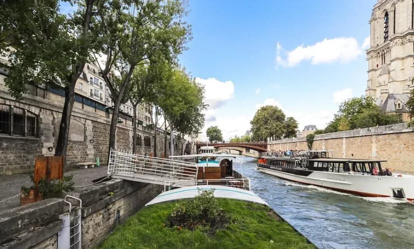 Terrasse Notre-Dame - L'Équité — photo 3