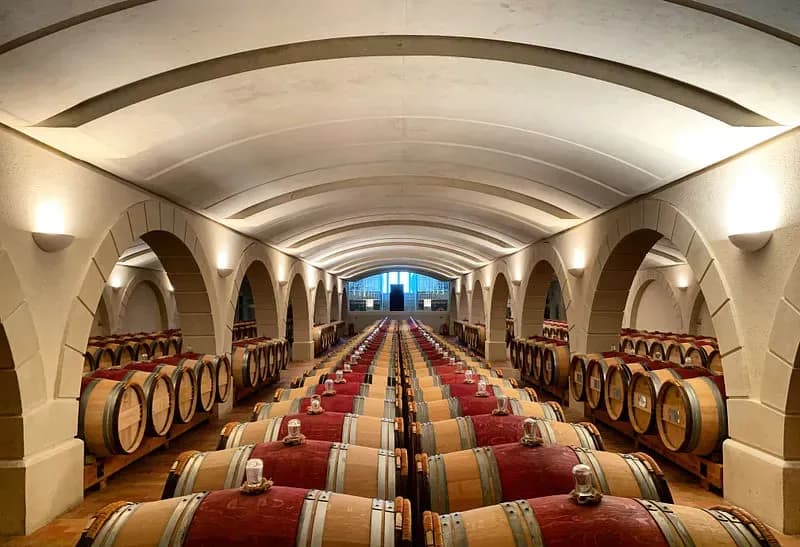 Château Haut-Chaigneau - Vignobles Chatonnet — photo 4