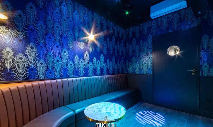 Musikall Bar Karaoké Box — photo 5