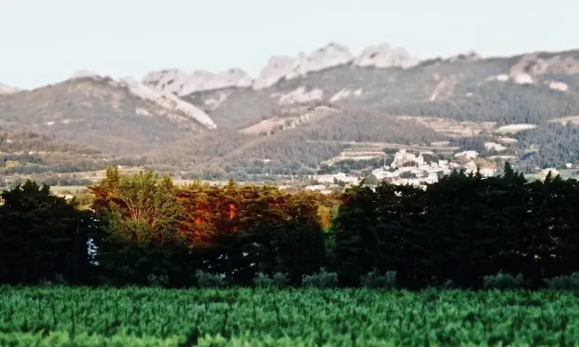 Domaine Grand Père Jules — photo 4
