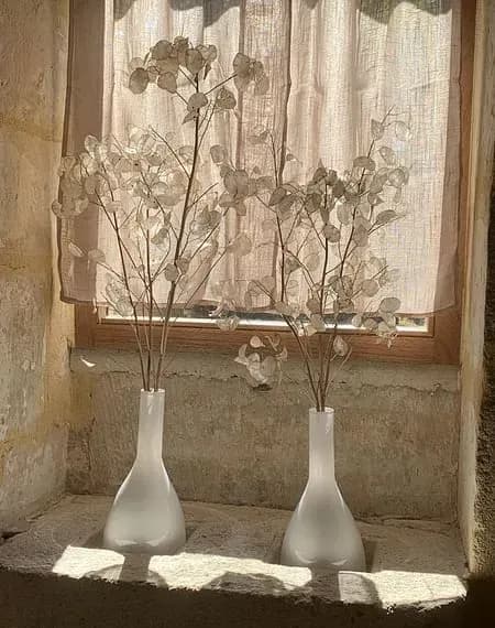 Domaine Arbaud — photo 4