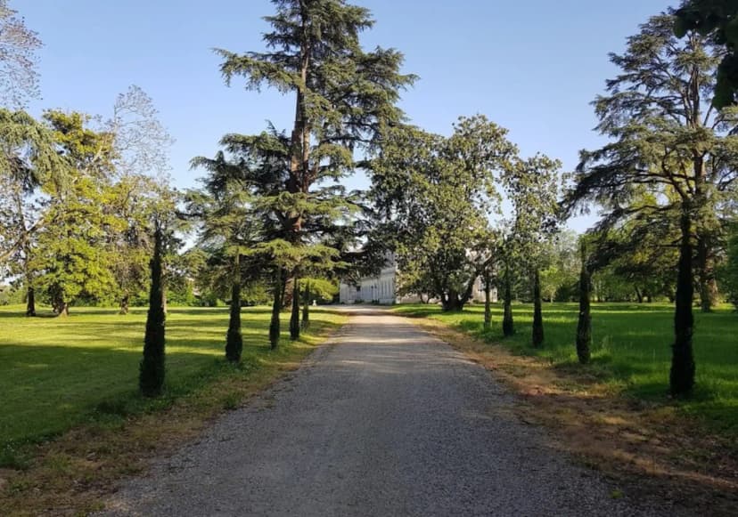 Château Saint Denis — photo 4