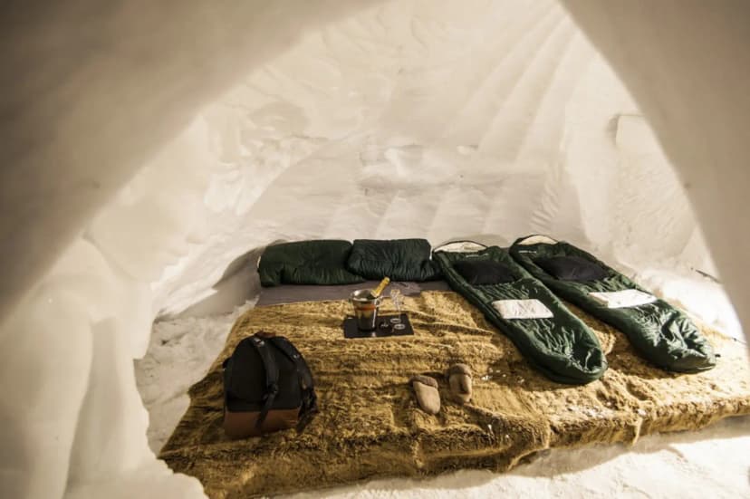 Village Igloo Blacksheep — photo 4