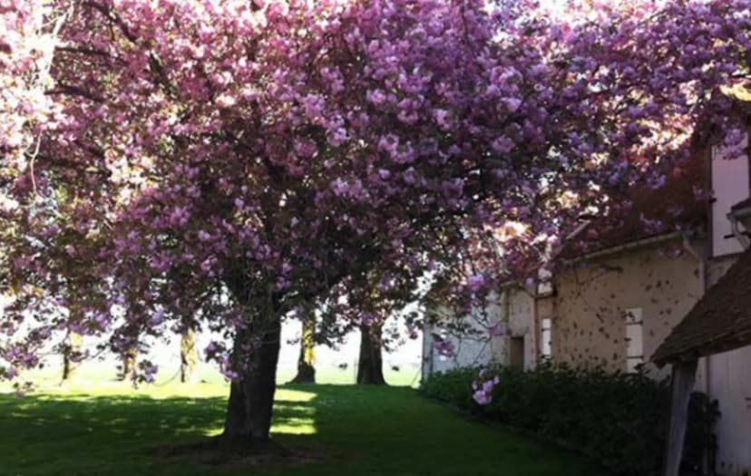 Domaine de La Réthorée — photo 3