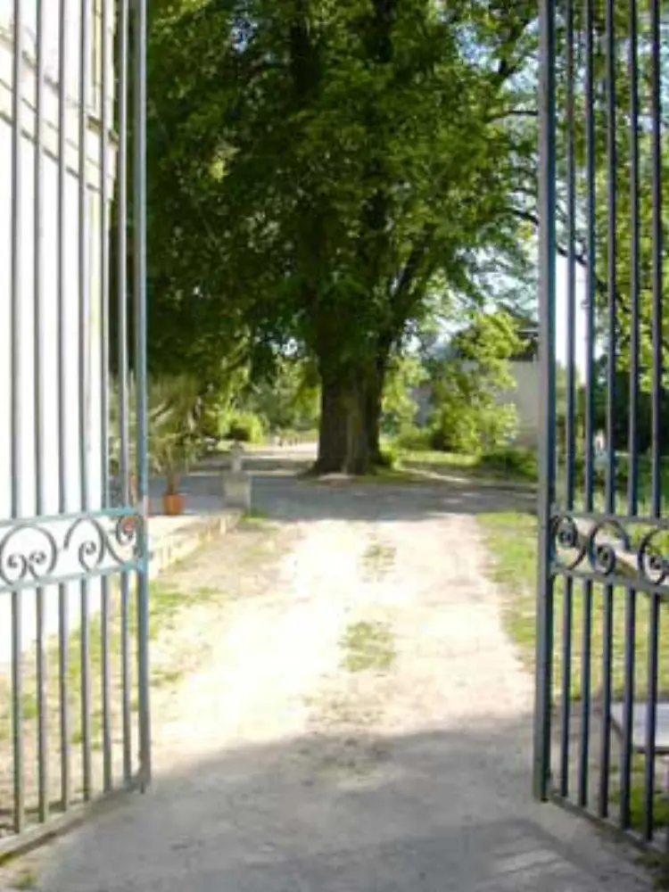 Château de Stors — photo 2