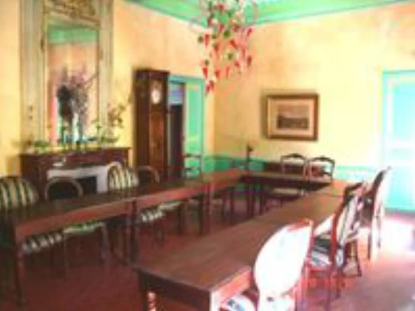 Mansion De Digoine — photo 2