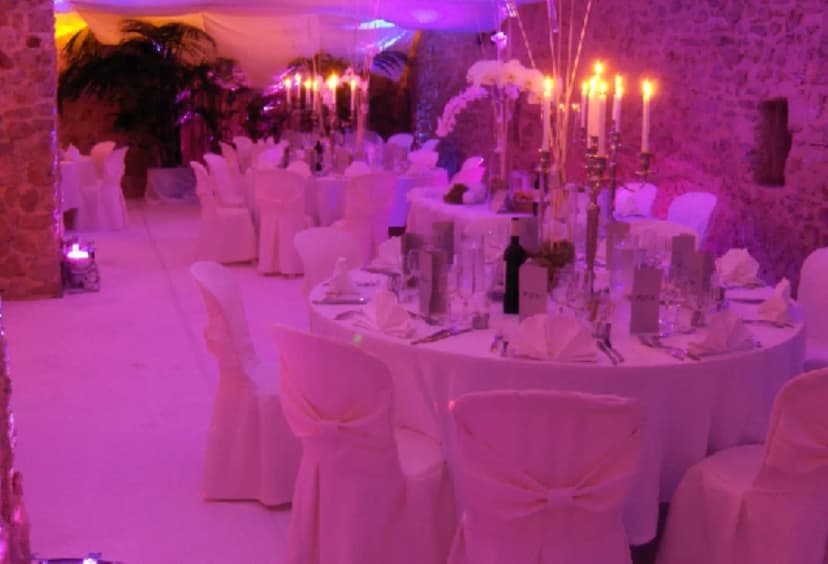 Castle Sénéguier - wedding in Provence — photo 4