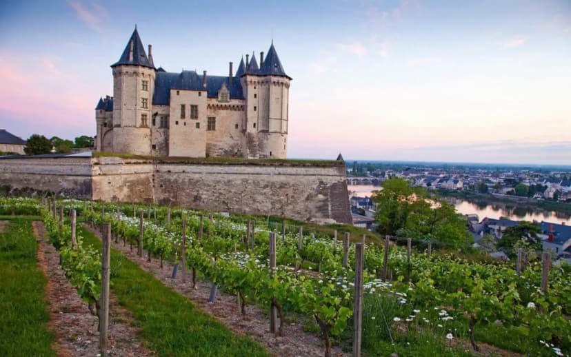 Château de Verrières ***** — photo 3