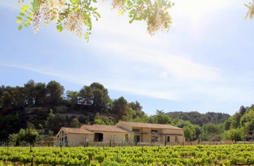 Moulin à huile d'olive & Domaine Bastide du Laval — photo 4