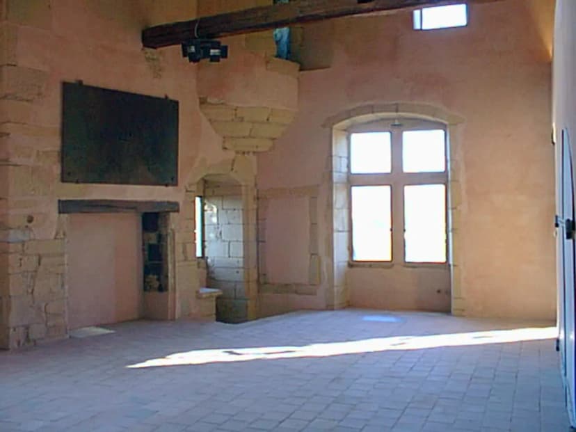 The Castle of Chessy — photo 3
