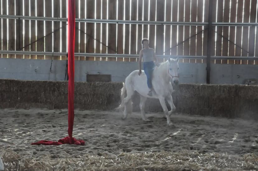 Cheval Magique - Equestrian Center — photo 5