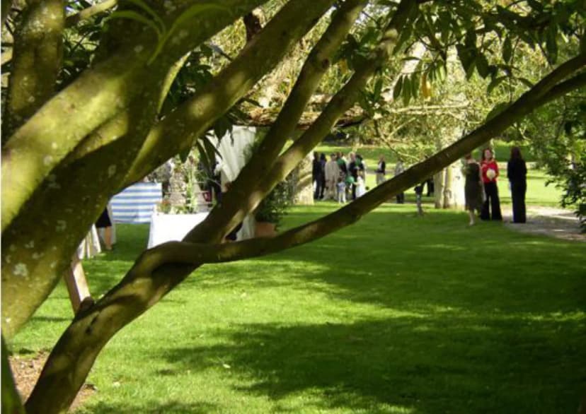 Manoir de la Queue Du Renard — photo 5
