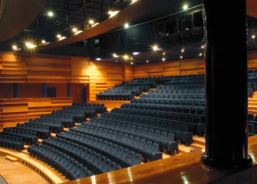 Comet - National Theatre of Chalons-en-Champagne — photo 2