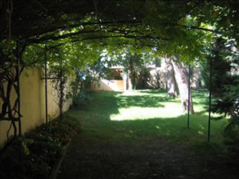 Europia — photo 5