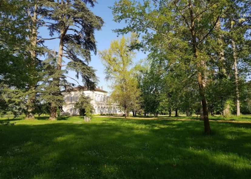 Château Saint Denis — photo 5