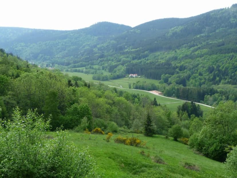 Le Haut Grain — photo 3