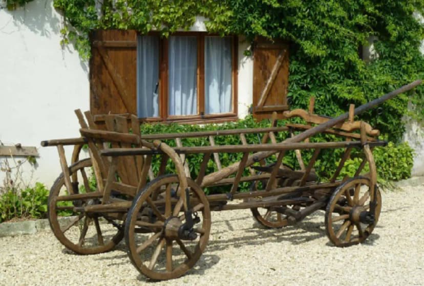 Haras du Bois d'Argile SCEA — photo 4