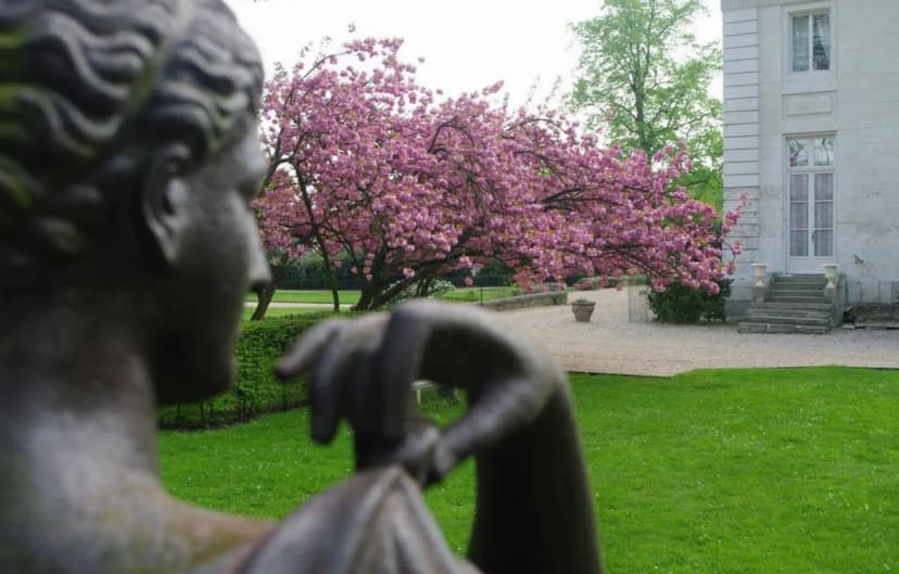 Château de la Chesnaie — photo 3