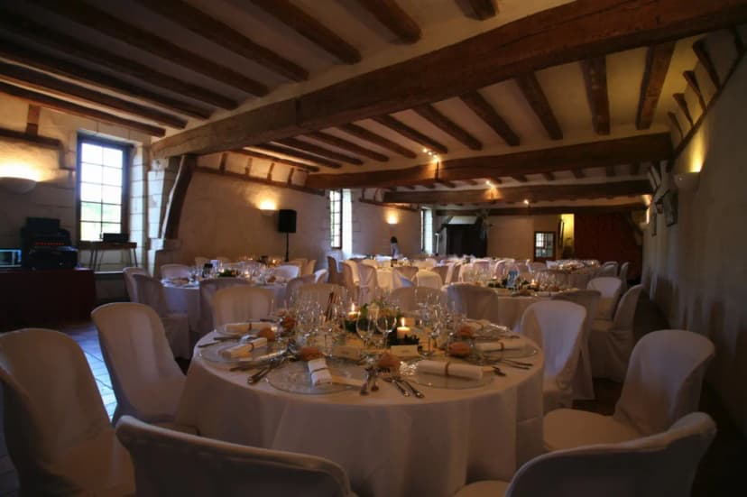 Château de Nitray — photo 3