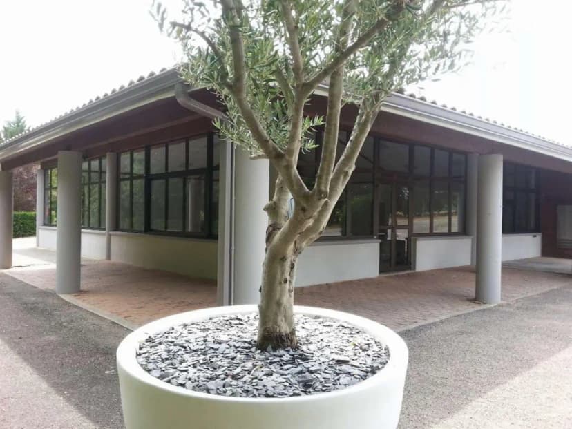 Domaine du longchamps — photo 1