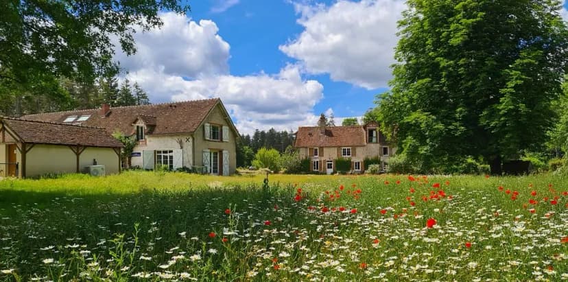 Le Moulin de Crouy — photo 1