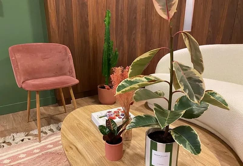 Coworking Maison Lecomte — photo 3