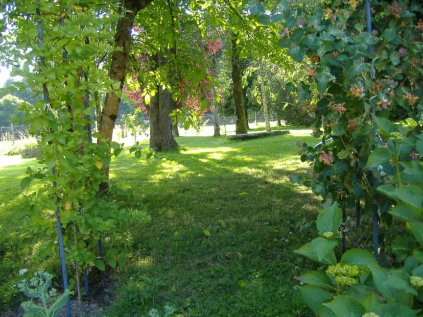 Les Chauvières — photo 4