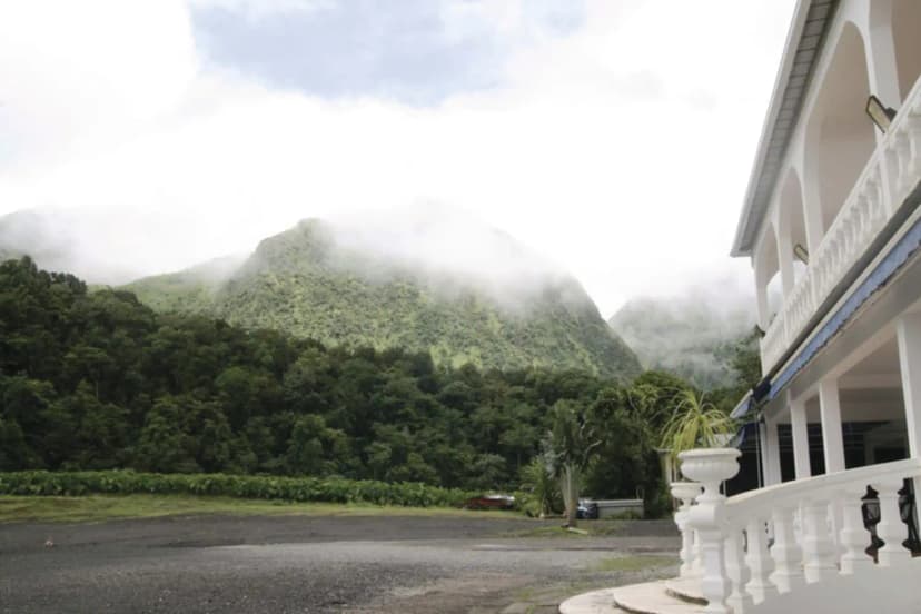 Ô TAN KINI — photo 5