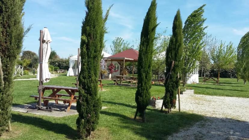 LE DOMAINE DES ELIES — photo 3