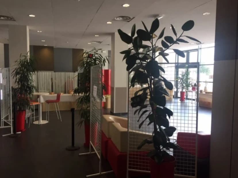Pôle Euroméditerranée de formation aux métiers du soins — photo 5