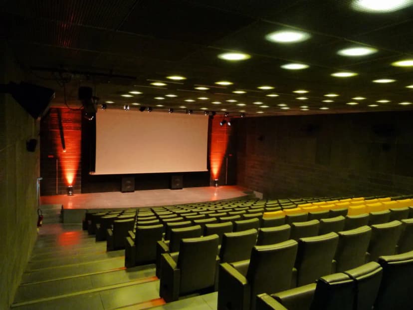 Palais des Beaux Arts — photo 3