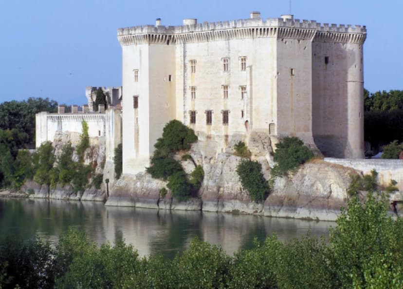 Tarascon Castle — photo 1