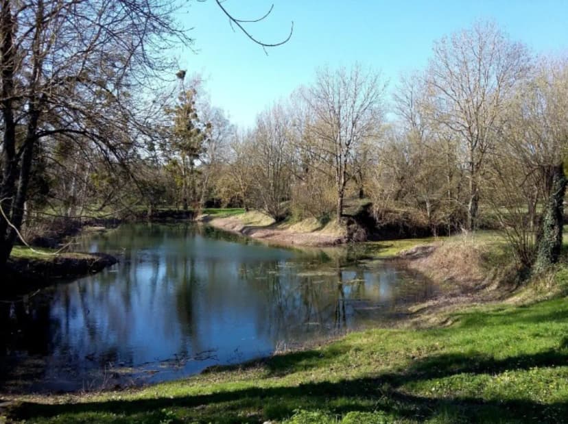 Le domaine du seudre — photo 5