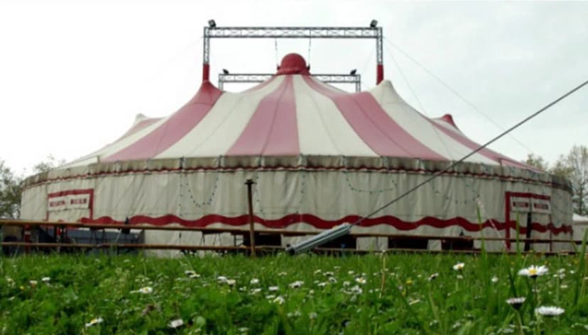 School Circus De Bordeaux — photo 1