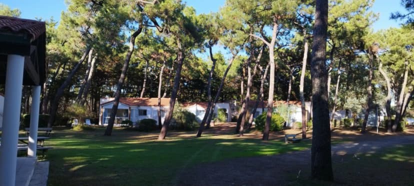 Domaine de la Presqu'île — photo 5