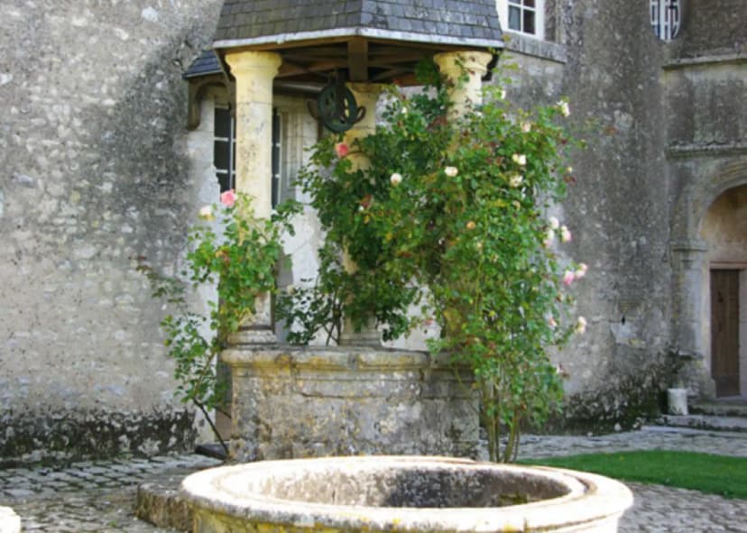 Château de Talcy — photo 4