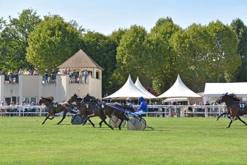 Hippodrome la Villeneuve — photo 5