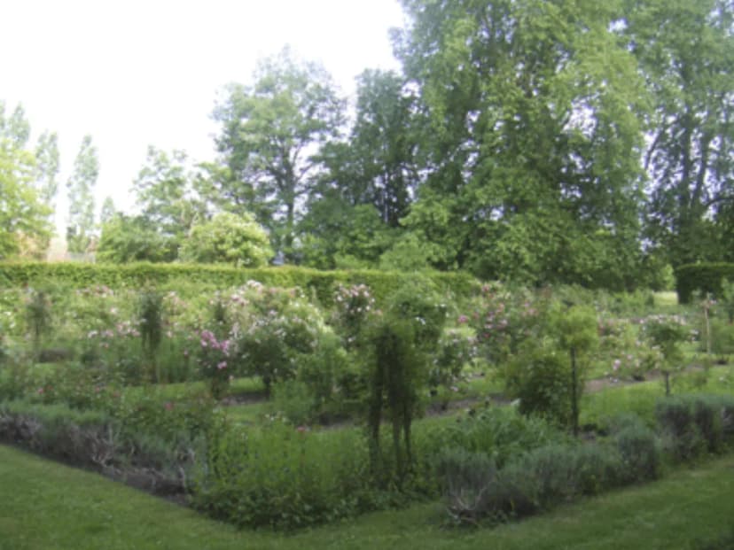 Château d'Ainay-le-Vieil — photo 2