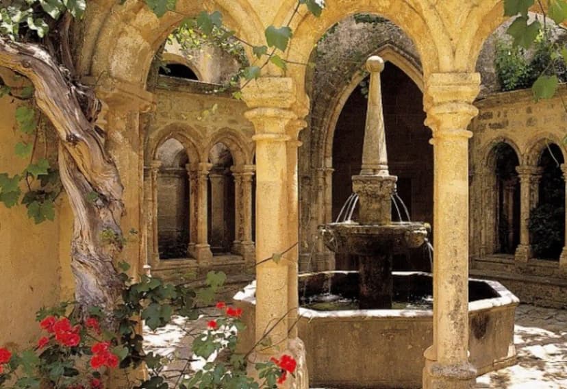Valmagne Sainte-Maria's Abbey — photo 5