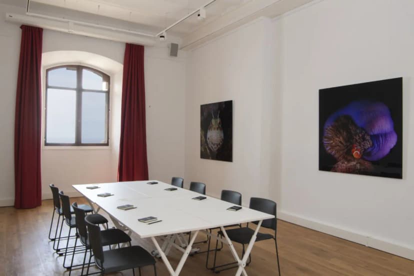 Musée océanographique de Monaco — photo 2