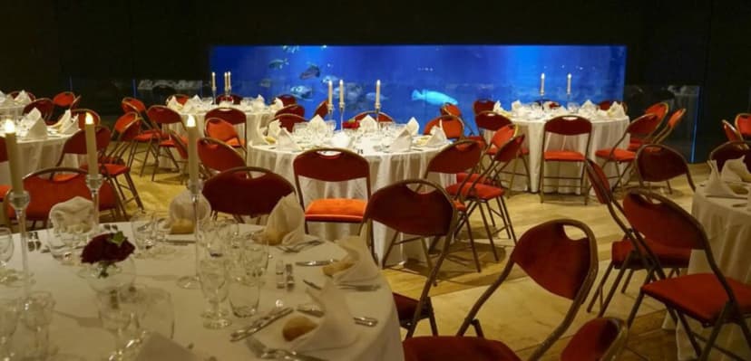 Aquarium de Paris — photo 5