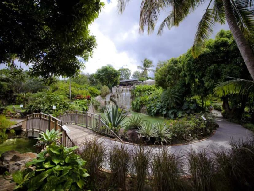Jardin Botanique de Deshaies — photo 3
