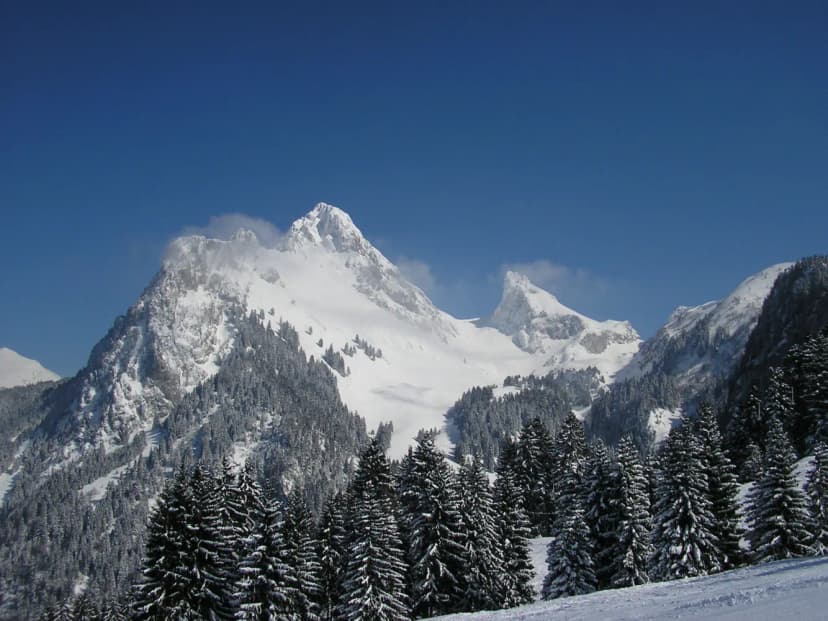 Chalet de Vacances LE CHENEX — photo 2