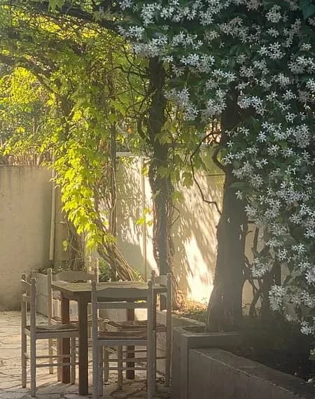 Princesse D'Azur — photo 3