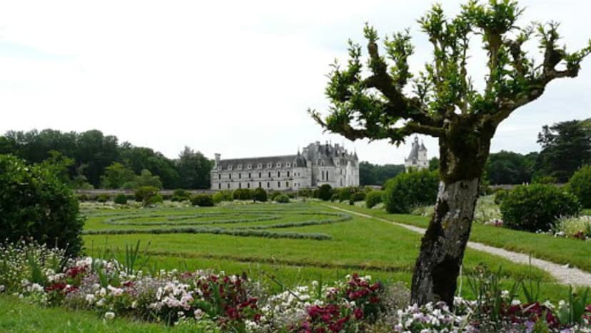 Château de la Rolandière — photo 4