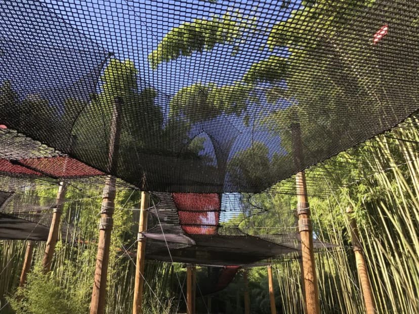 The Bamboo Cevennes — photo 2