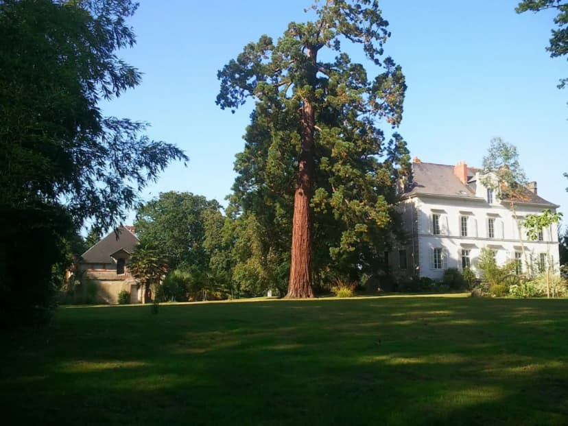 Le Domaine du Thiémay — photo 1