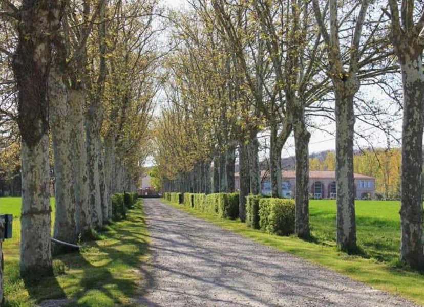 Domaine de Balestat — photo 1