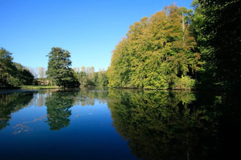 Château Du Bec — photo 3