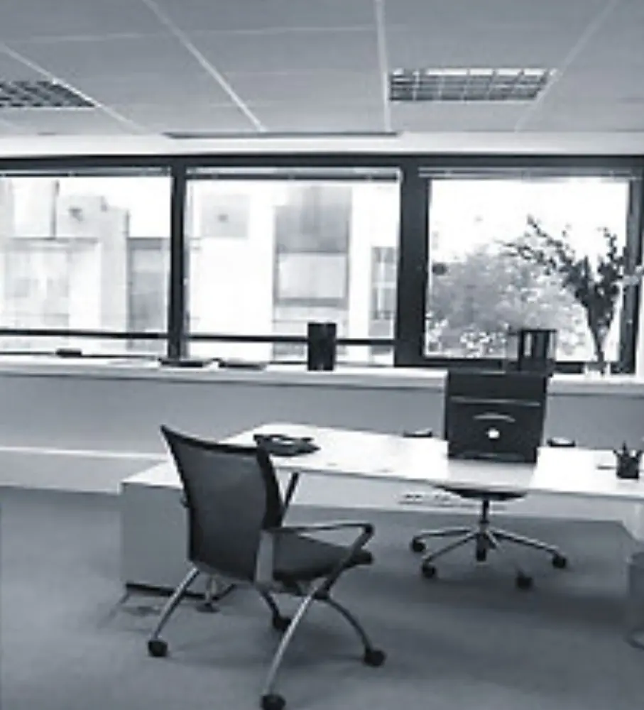 Economis13 — photo 3
